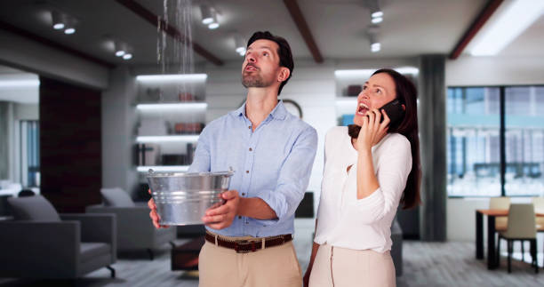 Best Mold removal after water damage  in Corcoran, MN